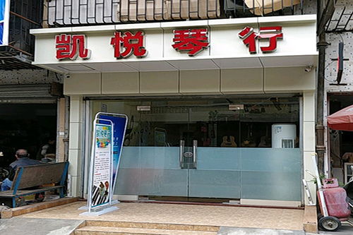 凯悦琴行加盟费多少钱 加盟条件 加盟电话 中教招商网