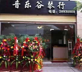 永春钢琴,福建优惠的钢琴供应
