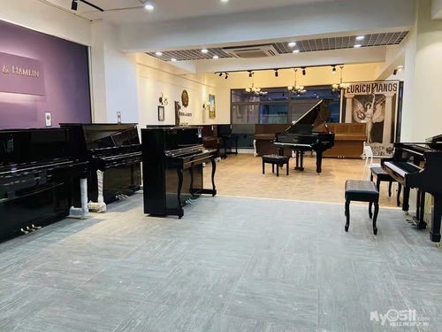 五乐琴行钢琴精品小课招生中