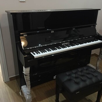 9.9成新钢琴:博悦、星海、德国巴尔德尔,1万