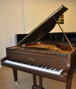 找上海二手钢琴|二手钢琴批发|二手三角钢琴|上海钢琴租赁|上海新元素钢琴坊的上海三角钢琴价格、图片、详情,上一比多_一比多产品库