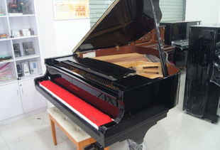 二手钢琴的维护,二手钢琴的维护生产厂家,二手钢琴的维护价格