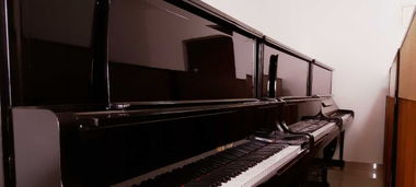 石家庄世纪钢琴行,专业二手钢琴销售,精品货源,让您选到更好的钢琴