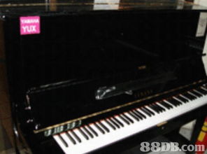 富士钢琴城 精选德国钢琴、二手钢琴与日本琴，奏响您的音乐梦想