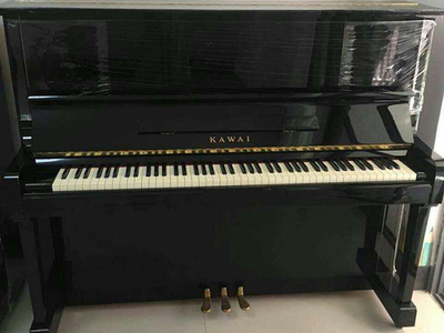 湖南钢琴回收 博斯纳钢琴回收价格高，蓝音乐器专业推荐