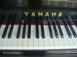 漳州二手钢琴供应 专业批发与租售雅马哈、卡哇伊等日韩品牌，尽在世界工厂网